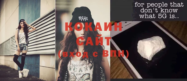 индика Переславль-Залесский