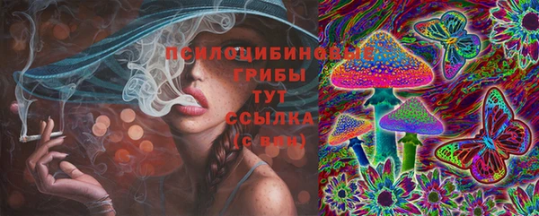 PSILOCYBIN Заводоуковск