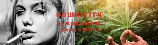индика Переславль-Залесский