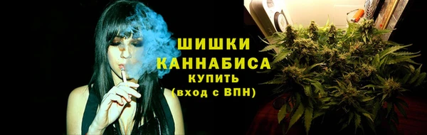 индика Переславль-Залесский