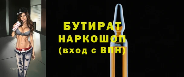 индика Переславль-Залесский