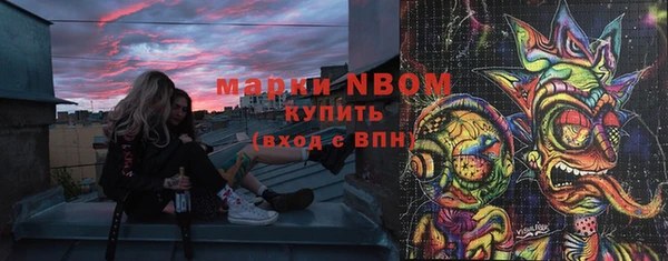индика Переславль-Залесский