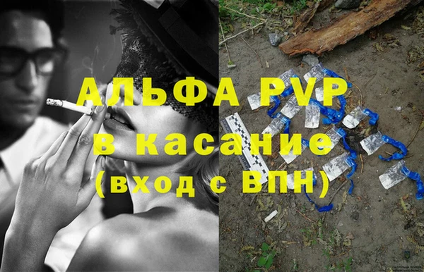 индика Переславль-Залесский