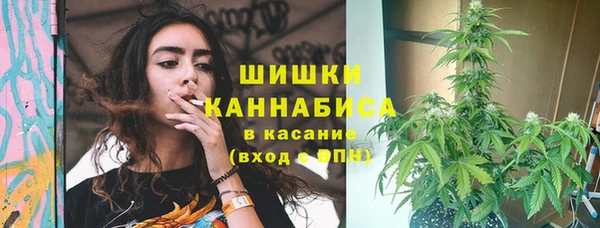 шишки Остров
