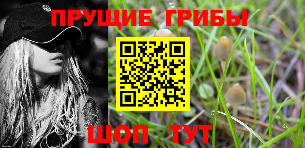 Галлюциногенные грибы MAGIC MUSHROOMS Луховицы