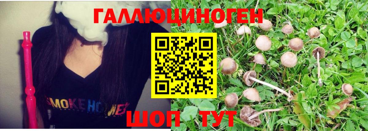 Псилоцибиновые грибы Psilocybe  где продают наркотики  Луховицы  Вход с VPN 