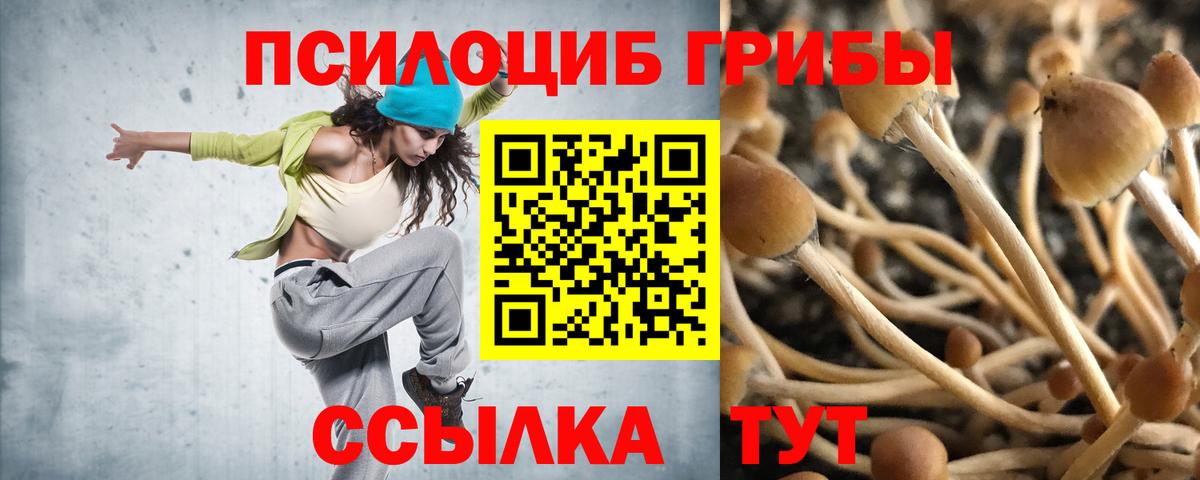 Псилоцибиновые грибы мухоморы Луховицы